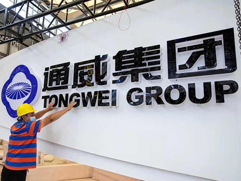 Tongwei Group Co. Ltd